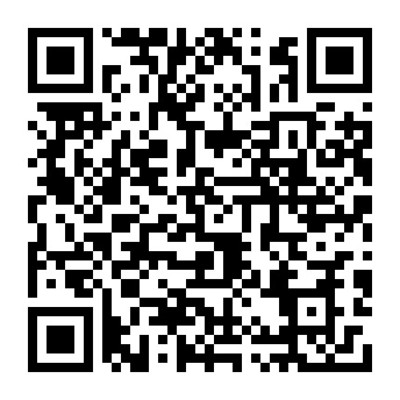 湛江市中級(jí)人民法院軟件開發(fā)服務(wù) 成品軟件租賃購(gòu)買項(xiàng)目的全面解析與展望